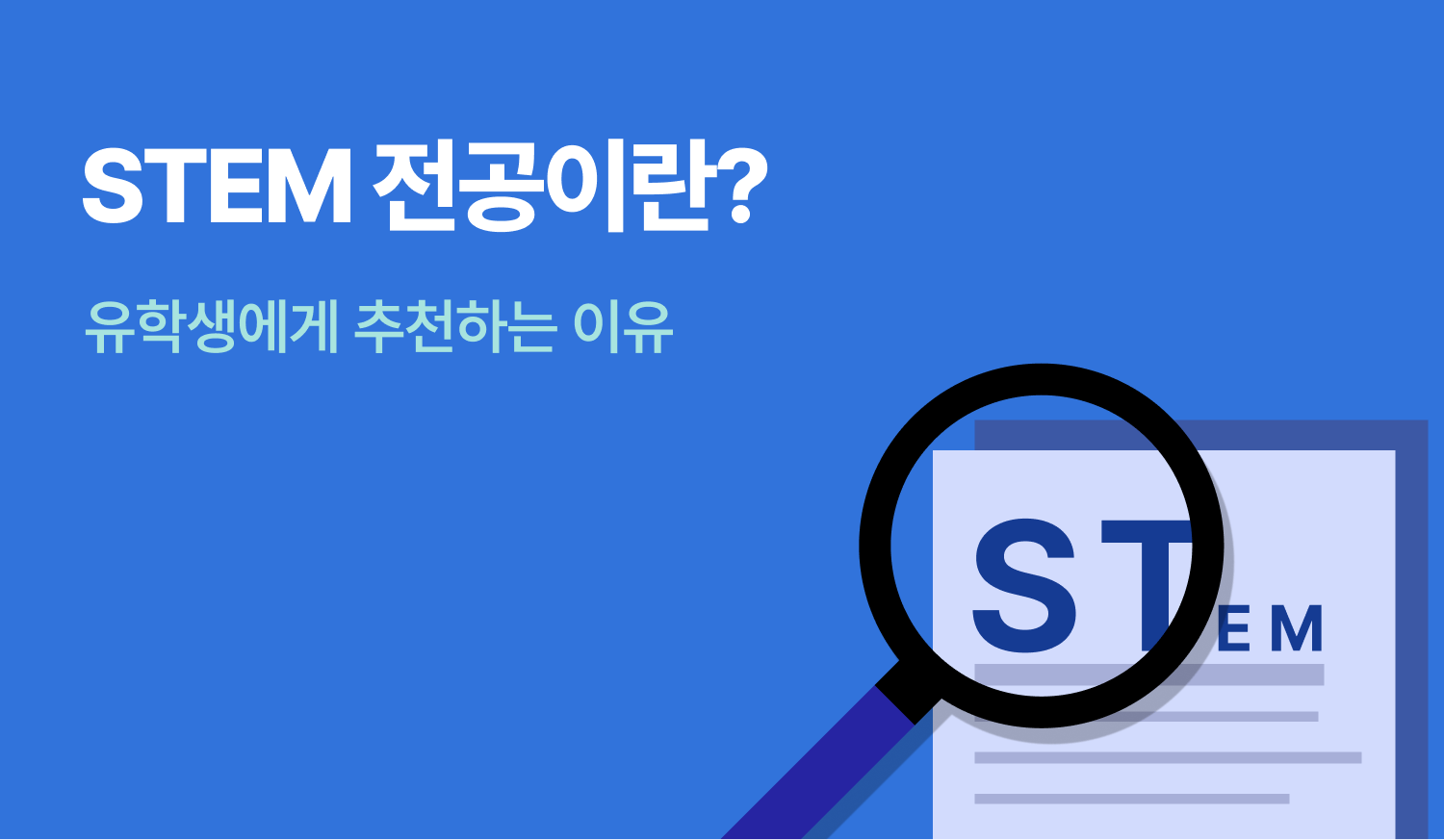 STEM 전공에 대해 설명하는 인포그래픽.